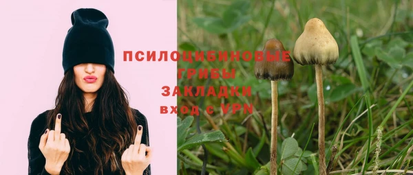 эйфоретик Аркадак