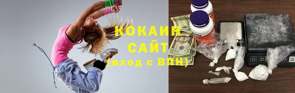 apvp Арсеньев