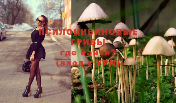 эйфоретик Аркадак