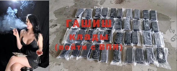 прущие грибы Армянск