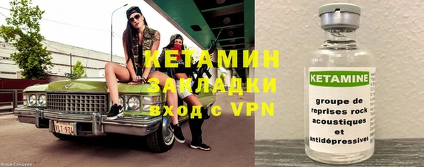 прущие грибы Армянск